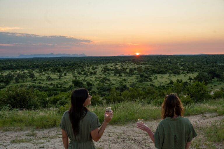 Guide Parc Kruger Afrique du Sud