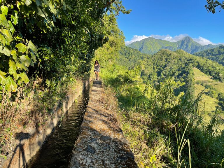 Les plus belles randonnées de Martinique