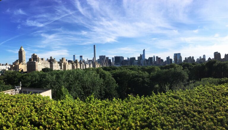 Rooftop New York City Vue