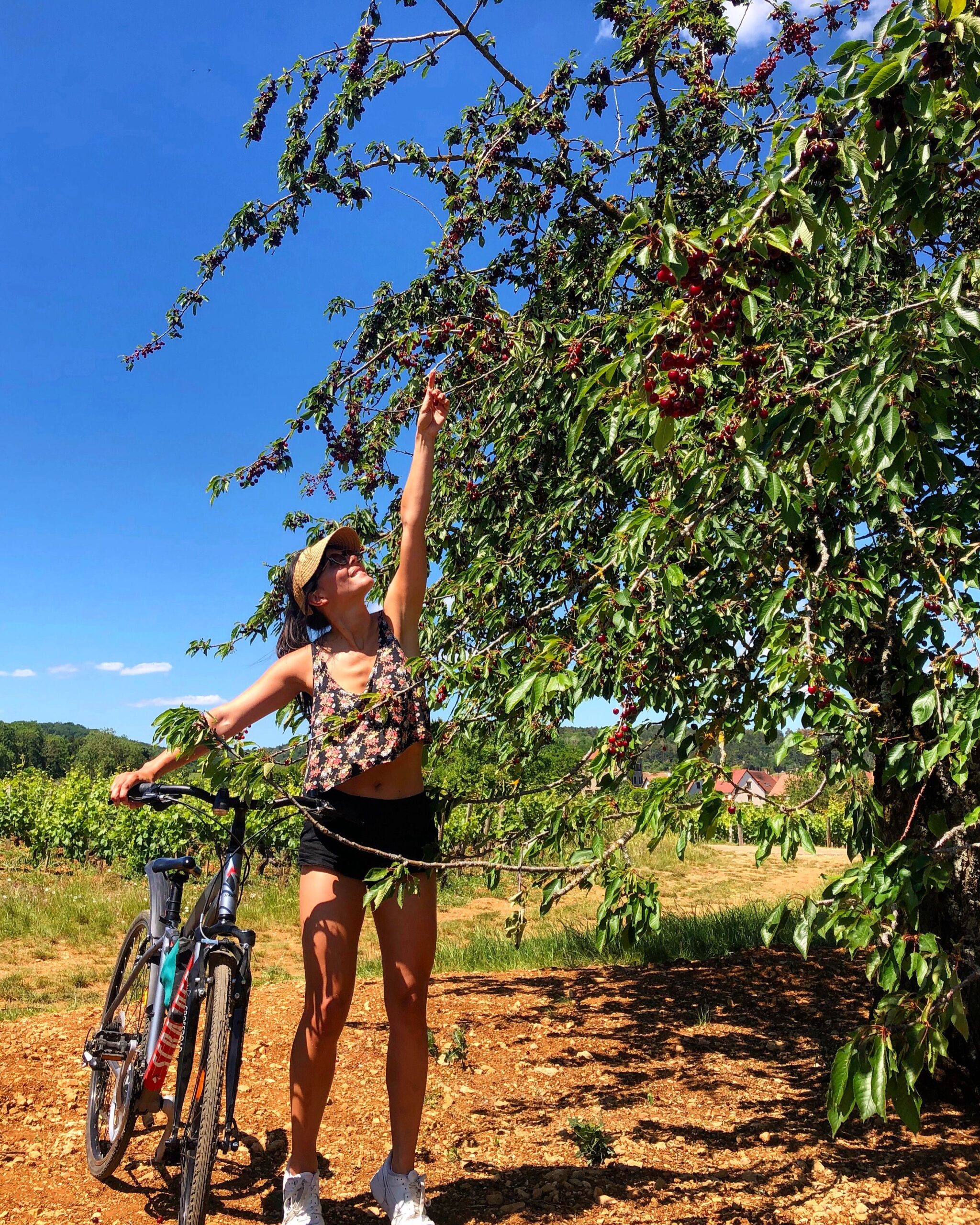 Bourgogne Dijon Vélo Randonnée France Vignes