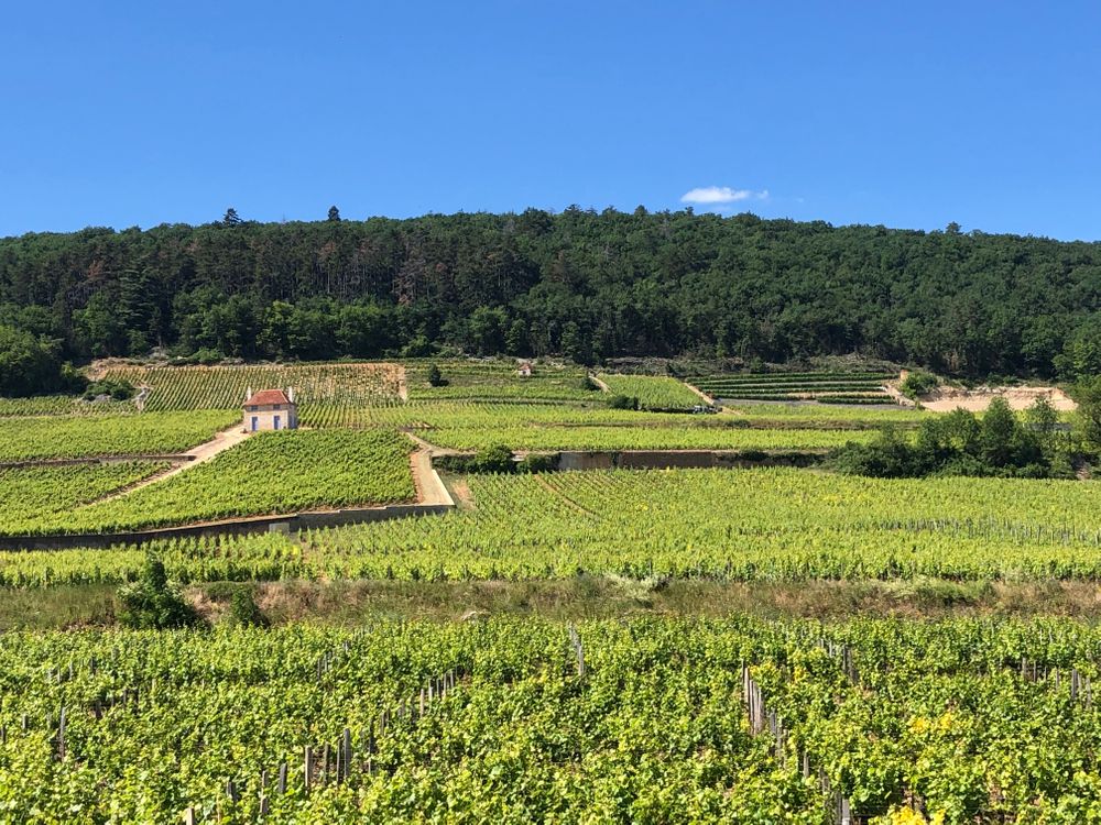 Dijon Balade à vélo Bourgogne