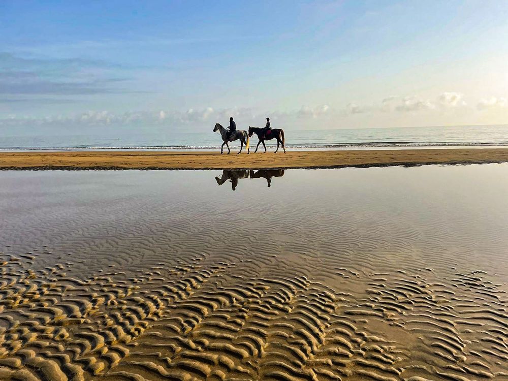 plage yiti beach oman chevaux