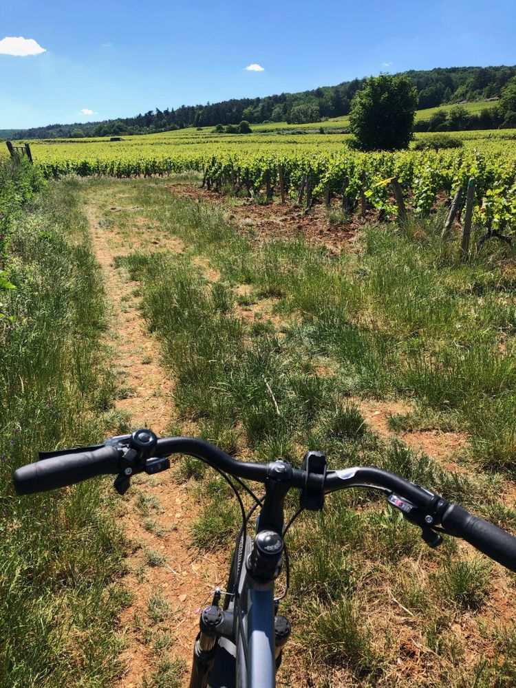 Dijon Balade à vélo Bourgogne