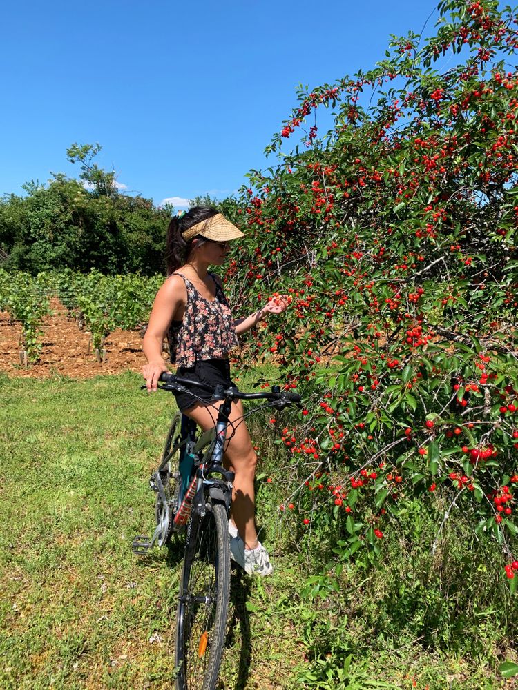 Dijon Balade à vélo Bourgogne