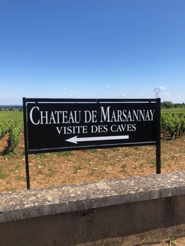 Chateau de Marsannay Visite des caves Dijon Balade à vélo Bourgogne