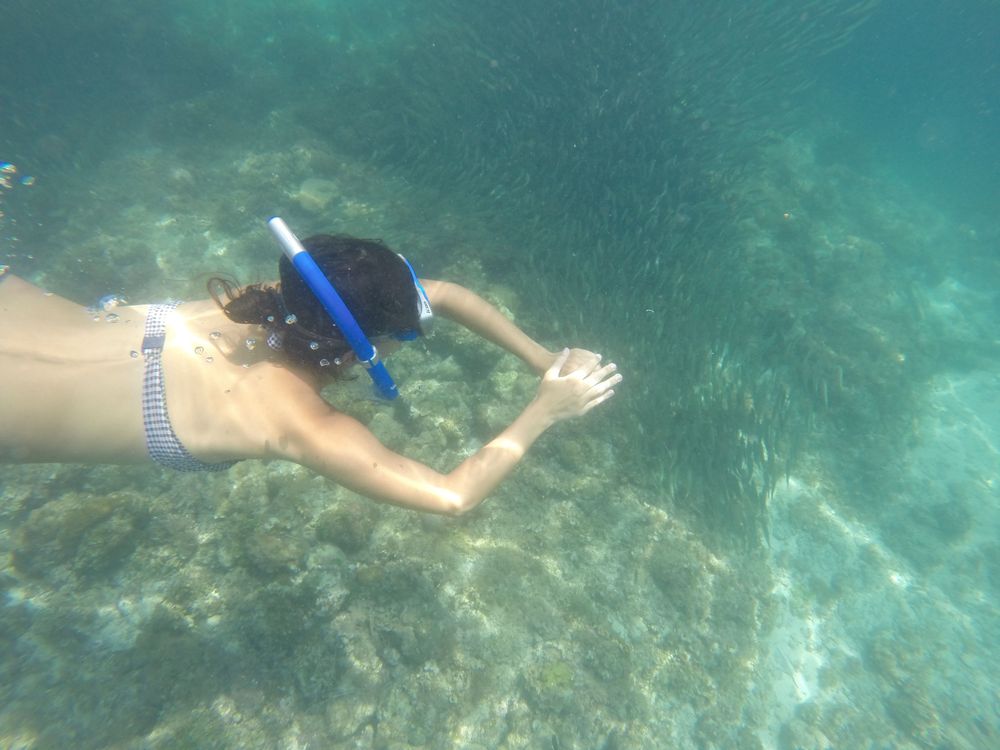 que faire aux philippines spots de snorkeling