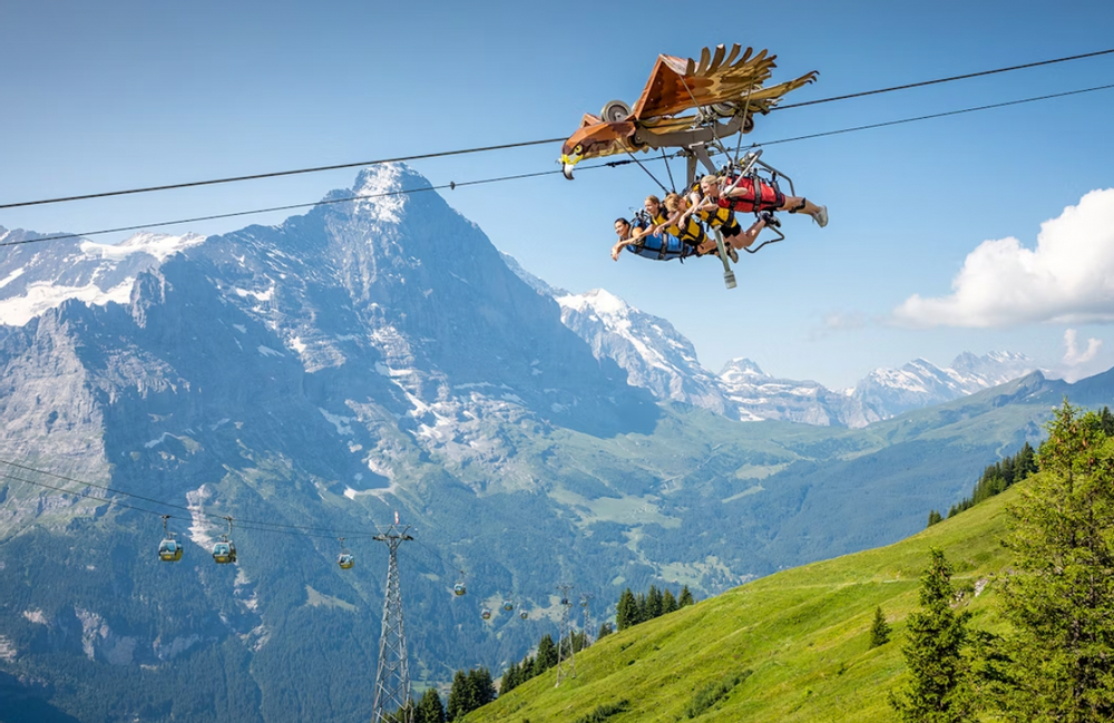 tyrolienne Grindelwald suisse