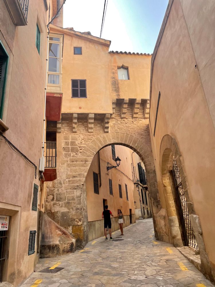 palma de majorque que faire que voir