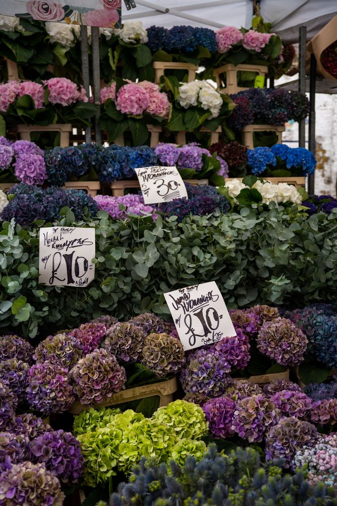 Columbia Road Flower market Shoreditch Londres 