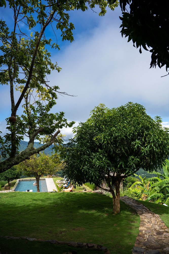 Hôtel Minca Piscine Colombie