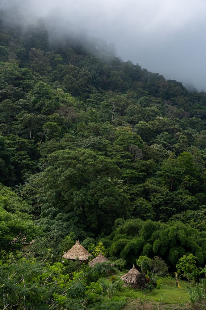 Minca Piscine Nuevo Mundo Colombie