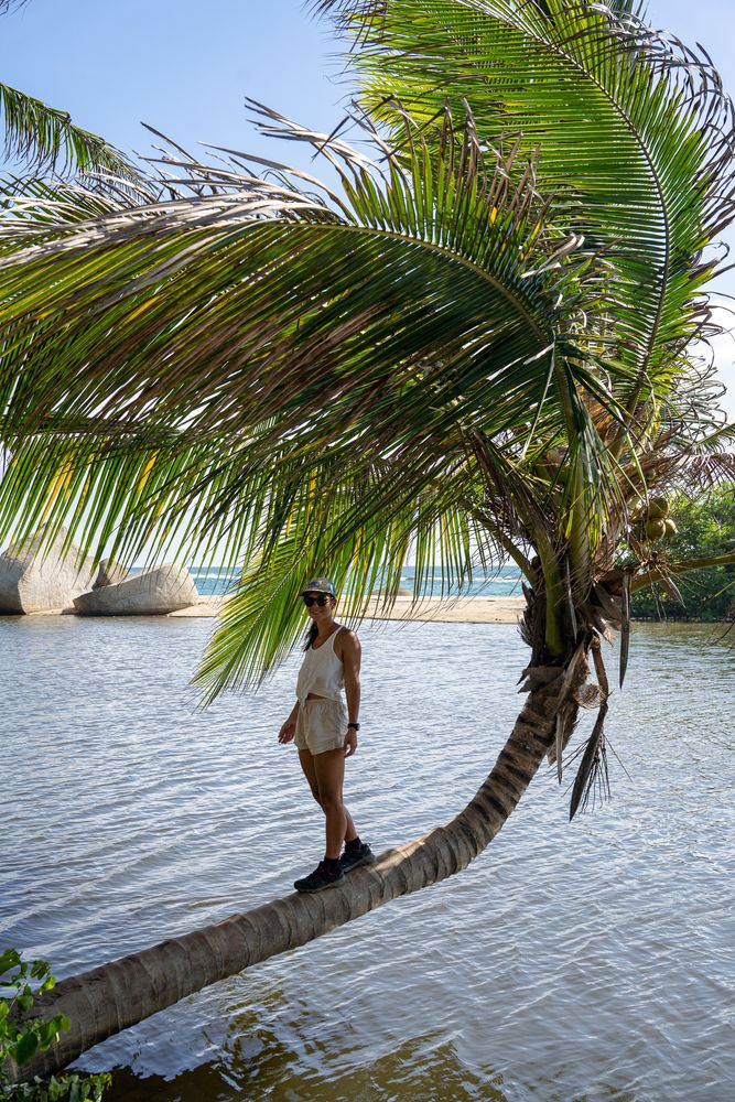 Parc National Tayrona Colombie guide complet itinéraire plus belles plages randonnée