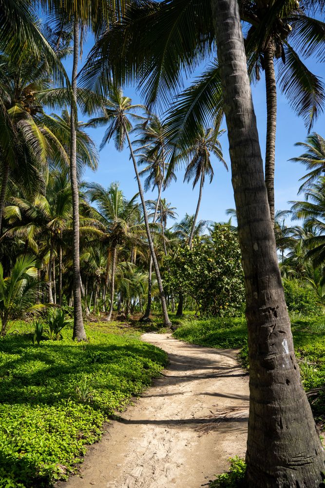 Parc National Tayrona Colombie guide complet itinéraire plus belles plages randonnée