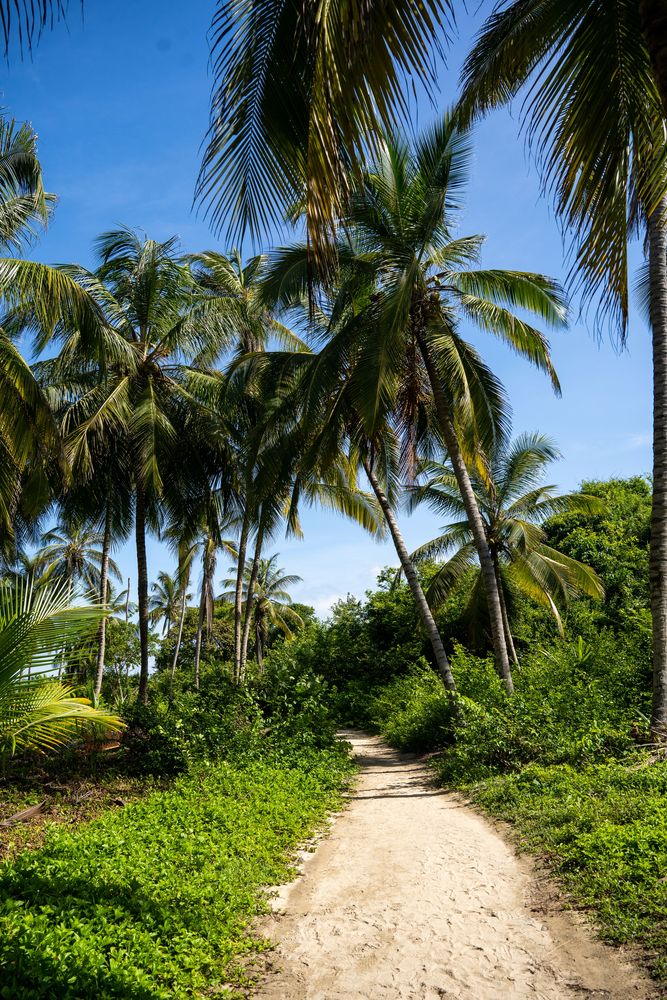 Parc National Tayrona Colombie guide complet itinéraire plus belles plages randonnée
