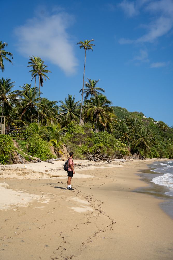 Parc National Tayrona Colombie guide complet itinéraire plus belles plages randonnée