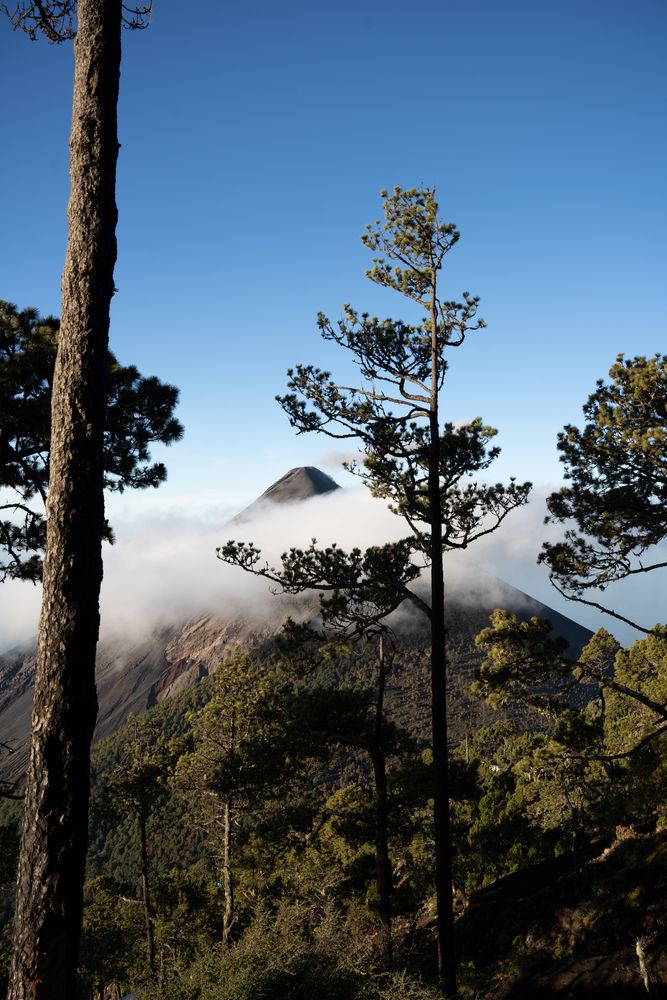 Ascension du volcan Acatenengo El Fuego Guatemala Vhiking tours 