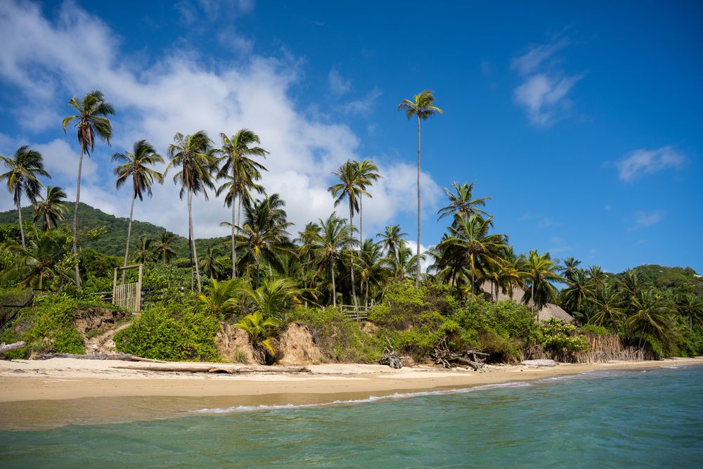 Parc National Tayrona Colombie guide complet itinéraire plus belles plages randonnée