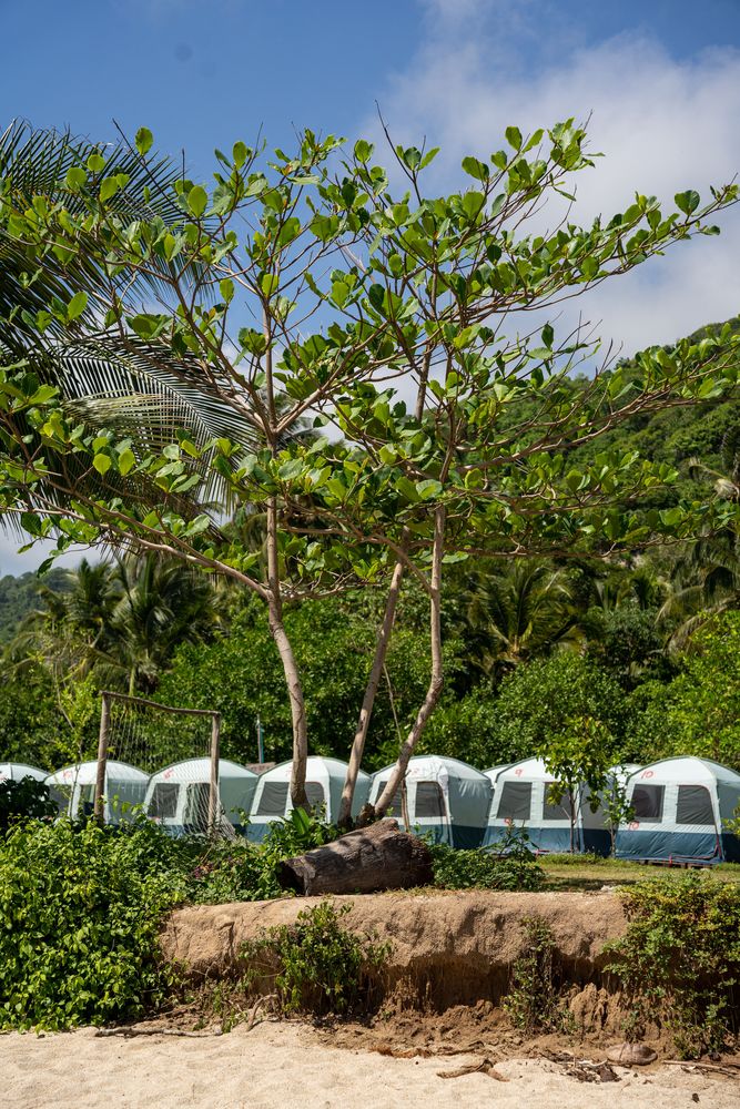 Parc National Tayrona Colombie tentes