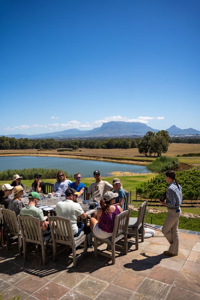 Vignobles du Cap De Grendel - Cape Town, Afrique du Sud 