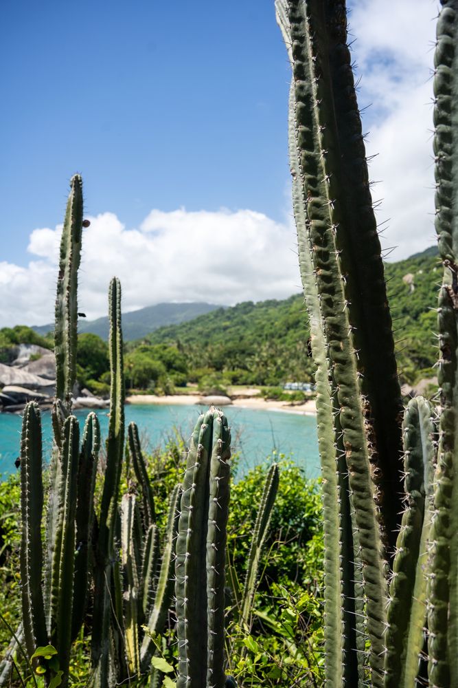 Parc National Tayrona Colombie guide complet itinéraire plus belles plages randonnée