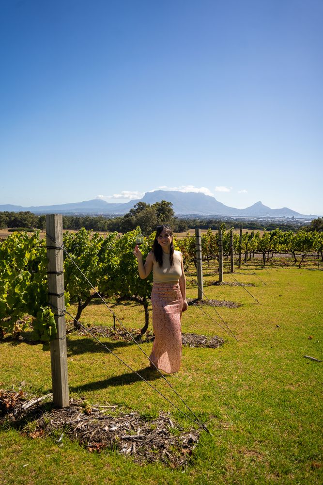 Vignobles du Cap - Cape Town Afrique du Sud
