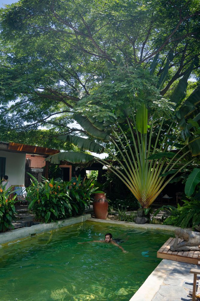 Palomino Colombie - itinéraire de 3 semaines en Colombie