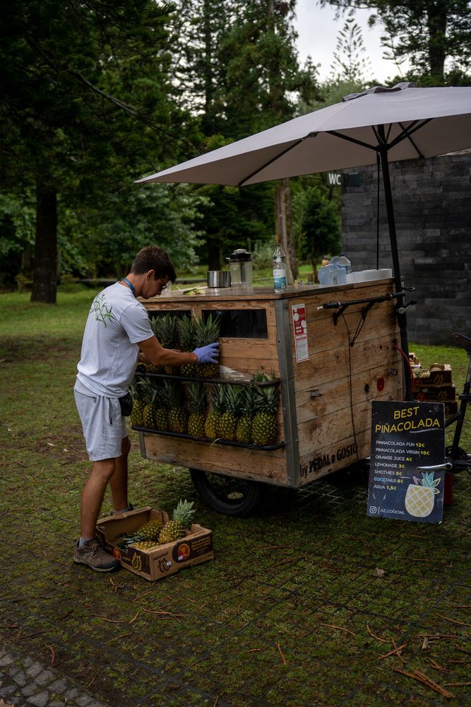 Ananas pina colada Furnas Açores Sao Miguel