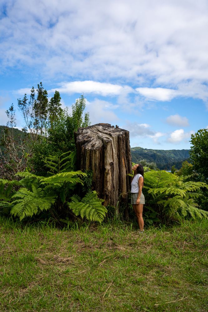 Furnas Sao Miguel Açores