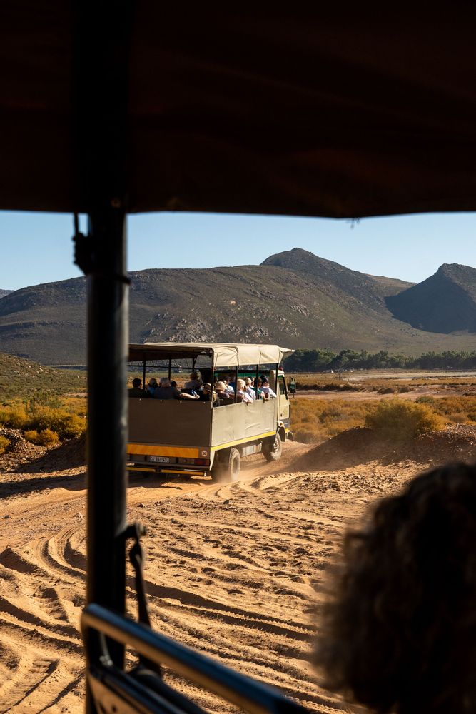 Aquila's Safari proche du Cap Cape Town Afrique du Sud