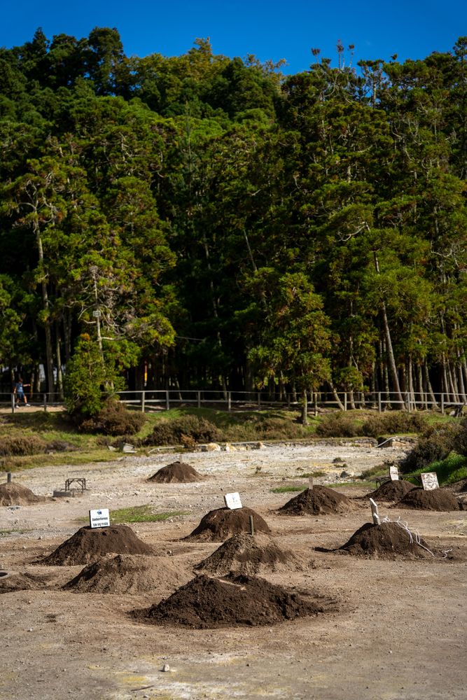Furnas Fumerolles Sao Miguel Açores