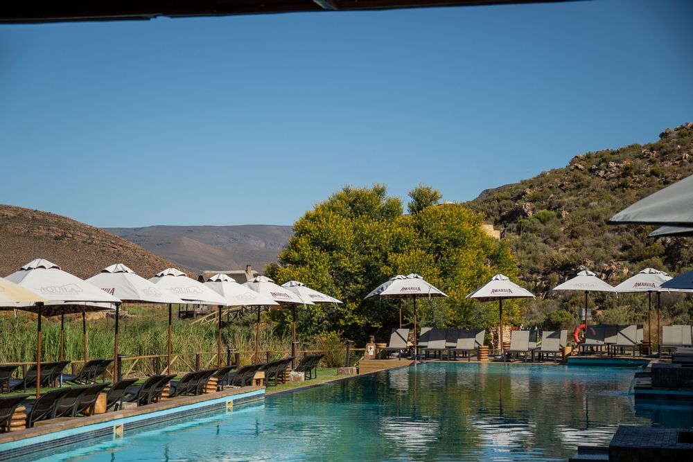 Aquila's Safari proche du Cap Cape Town Afrique du Sud Piscine