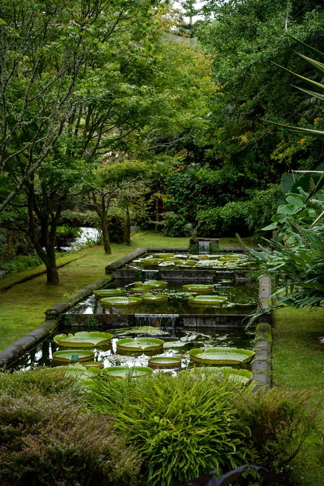 parc de terra nostra sao miguel açores