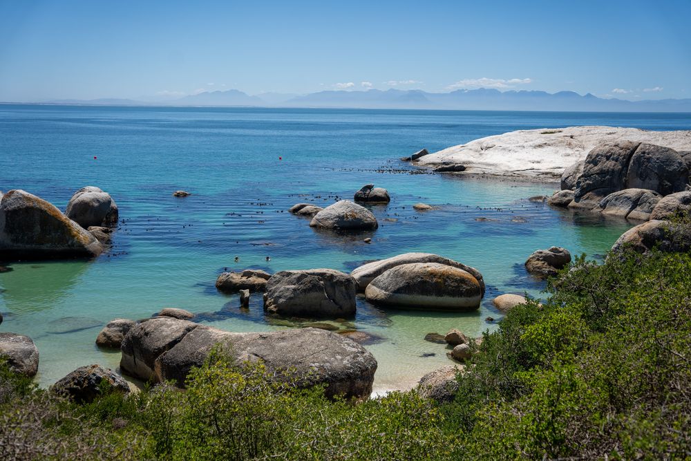 Plage eau turquoise Boulder's Beach Plage des Pingouins Manchots - Cape Town, Afrique du Sud 