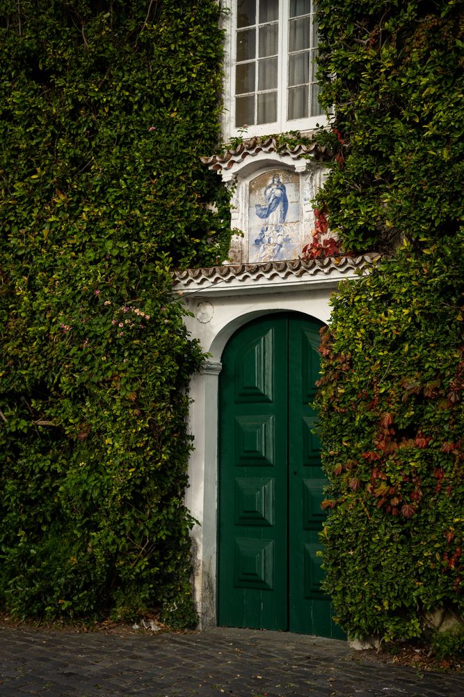 Plantations d'ananas A Arruda Ponta Delgada Sao Miguel Açores