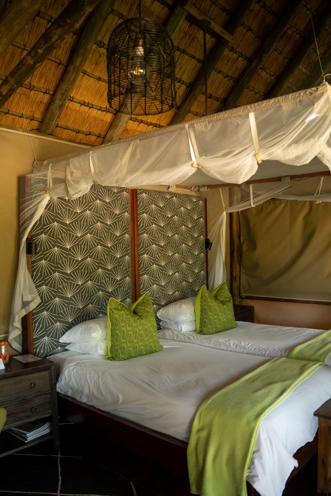 Rhino Post Safari Lodge Parc Kruger Afrique du Sud Safari