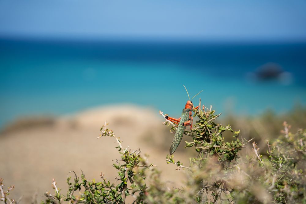Guide complet Désert de la Guajira Colombie Cabo de la Vela 