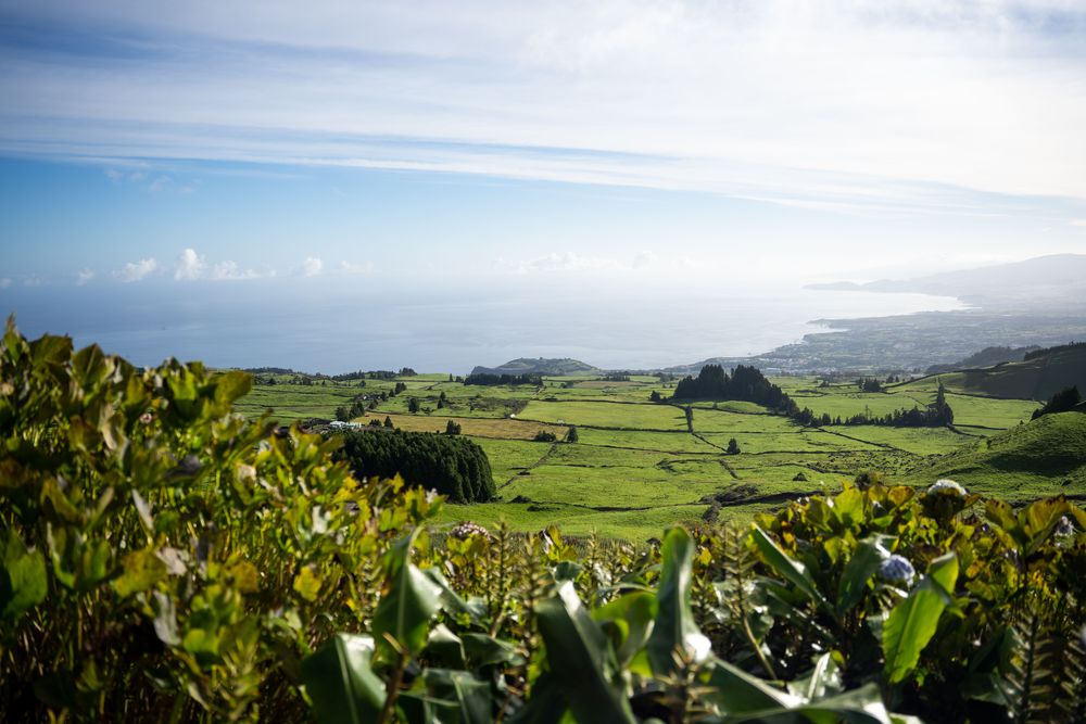 Pico do Carvao Sao Miguel Açores