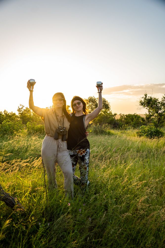 Apéro sunset Parc Kruger Afrique du Sud Safari