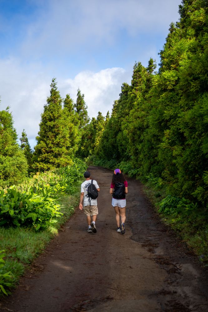 Randonnée Sete Cidades Sao Miguel Açores