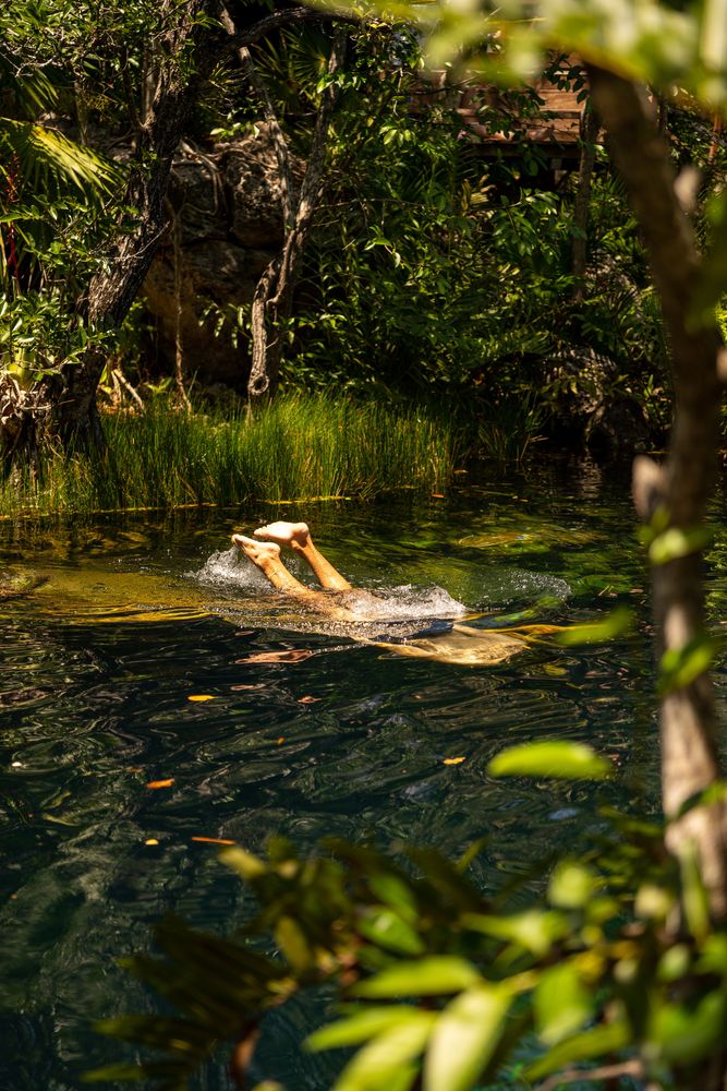 Cenote Playa del Carmen Mexique Yucatan