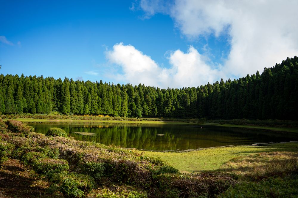 Lagoa Empadadas Randonnée Serra Devassa Sao Miguel Açores