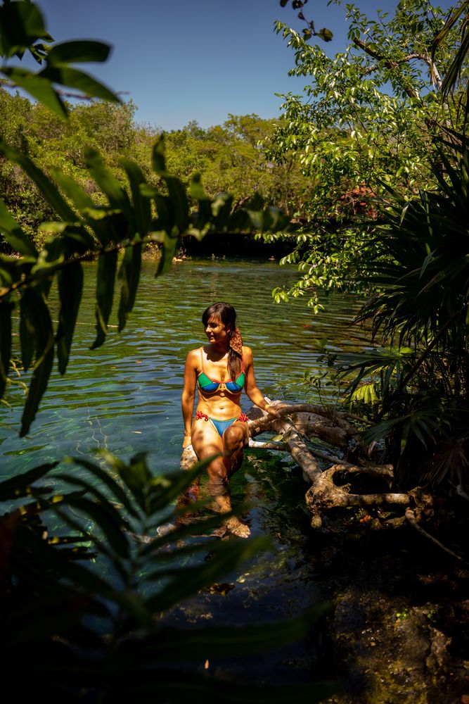 Cenote Playa del Carmen Mexique Yucatan