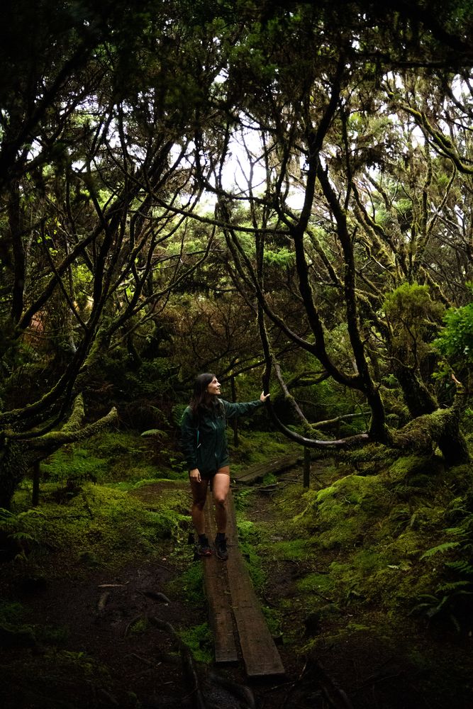 Randonnée Mistérios Negros (PRC01 TER) Terceira Açores