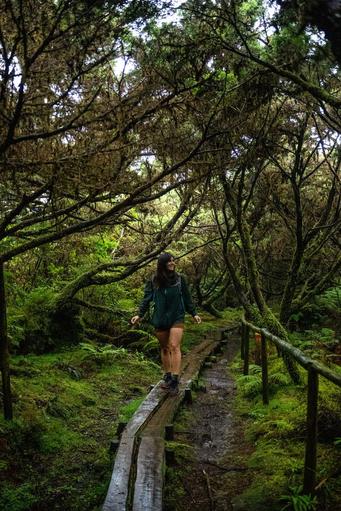 Que faire sur l'île de Terceira aux Açores ? 