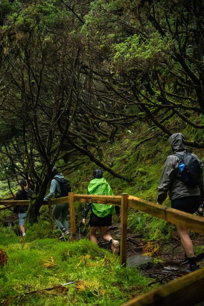 Randonnée Mistérios Negros (PRC01 TER) Terceira Açores