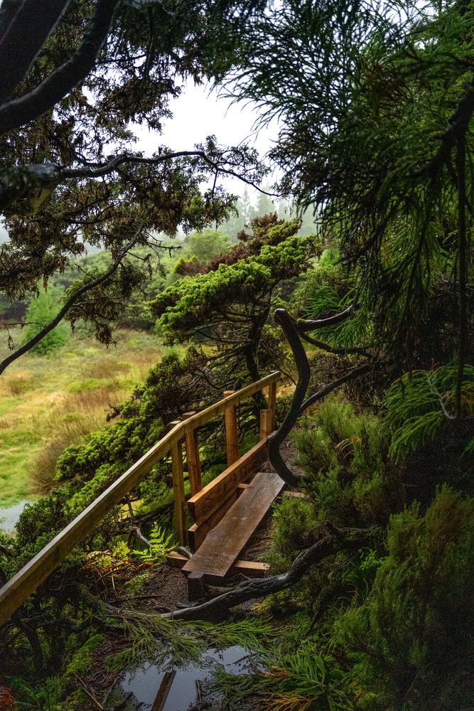 Que faire sur l'île de Terceira aux Açores ? 