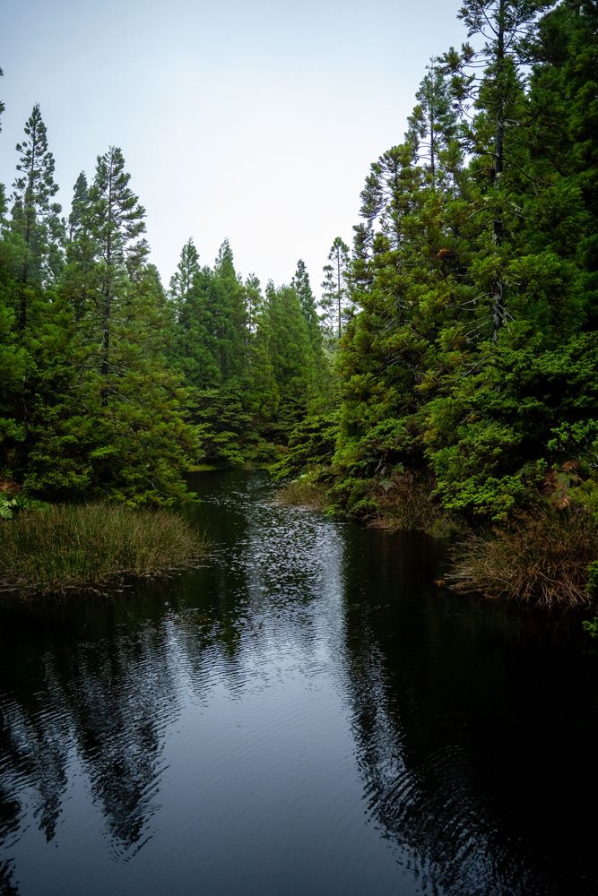 Randonnée Mistérios Negros (PRC01 TER) Terceira Açores
