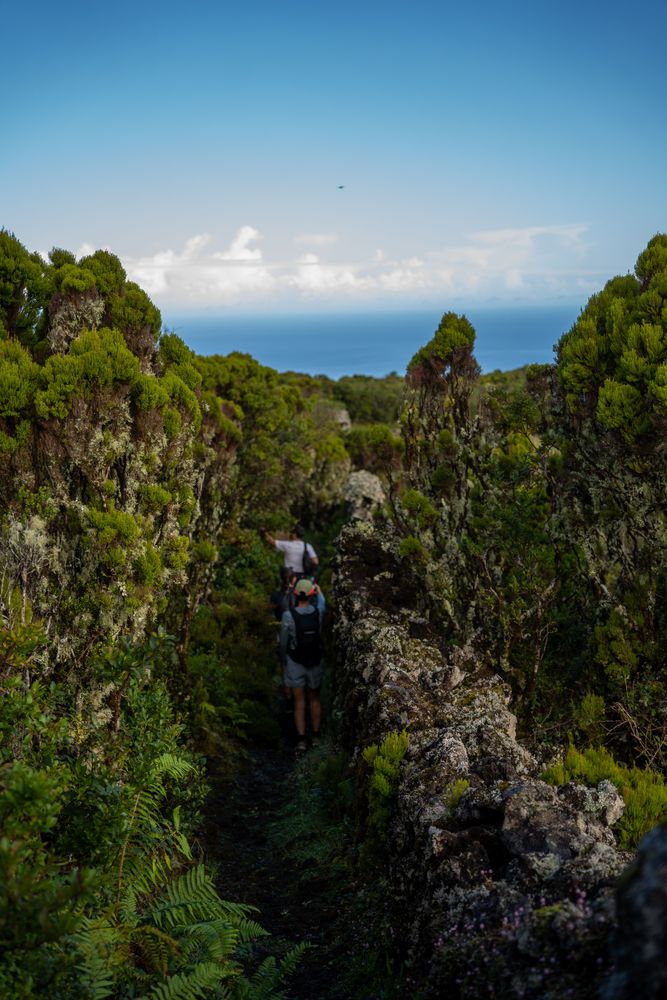 Que faire sur l'île de Terceira aux Açores ? Randonnée vue mer