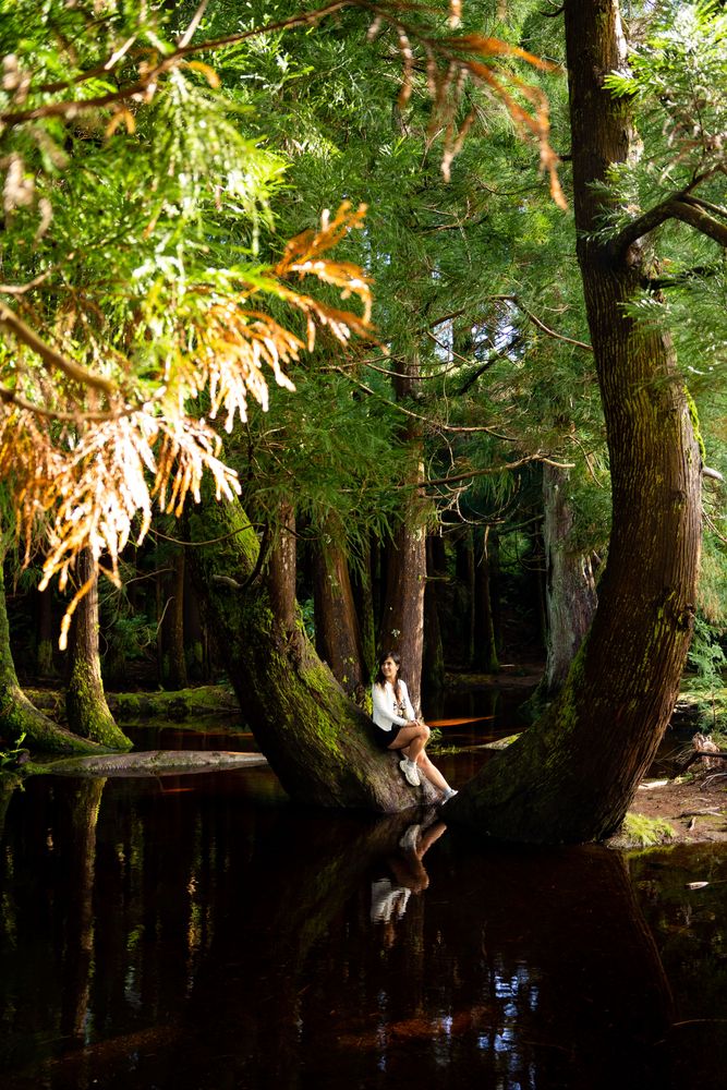 Que faire à Terceira aux Açores ? Itinéraire, conseils, bons plans, randonnées 