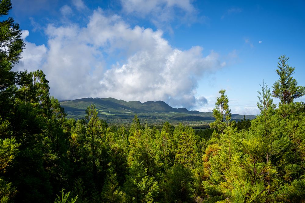Randonnée Rocha do Chambre (PRC06 TER) Terceira Açores